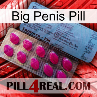 Big Penis Pill 35